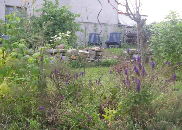 Drahtesel Oase * Pommelte