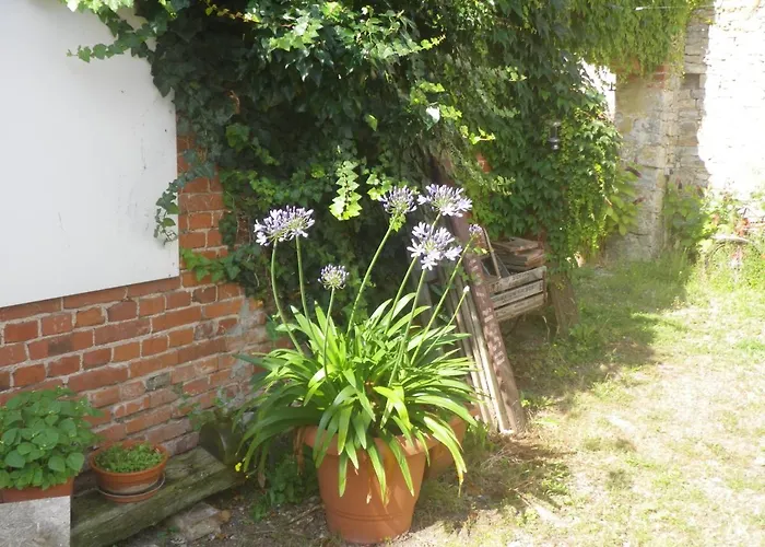 Apartment Drahtesel Oase